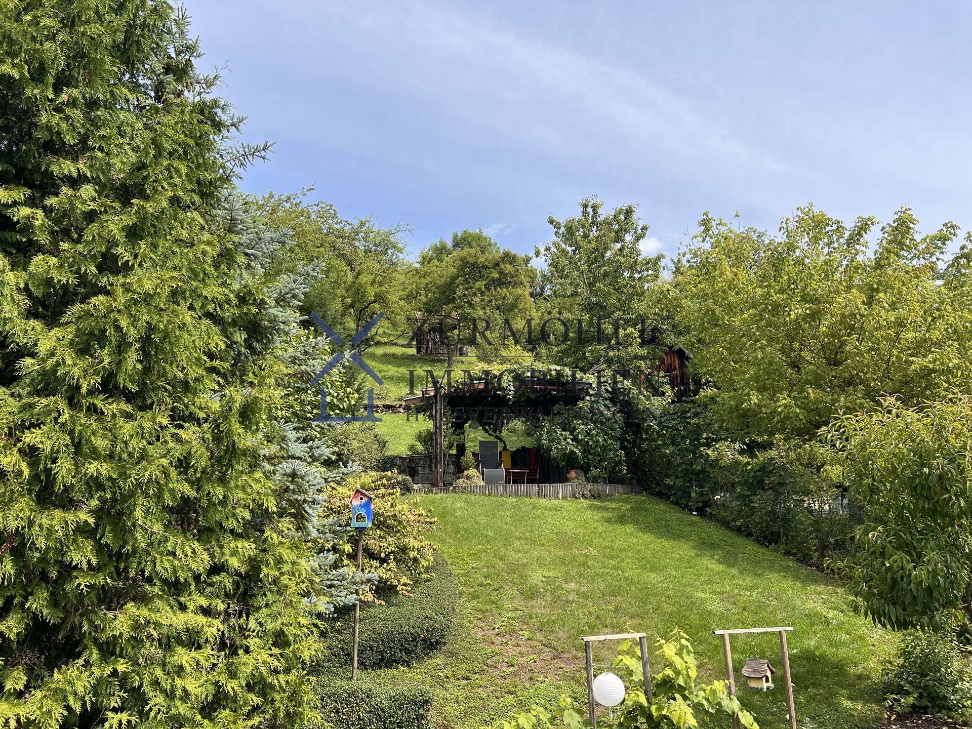 Blick in den Garten